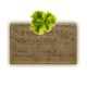 ✭ Savon de Marseille aux algues marine - Exfoliant doux gommage de la peau ✭